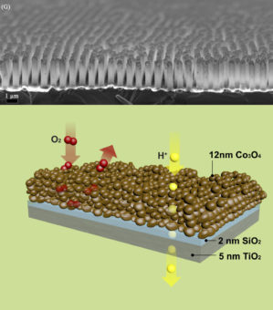 Scientists Develop Artificial Photosynthesis System That Can Perform Fuel Generation Scientists Develop Artificial Photosynthesis System That Can Perform Fuel Generation