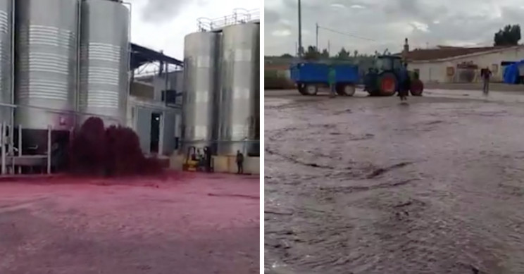 50,000 Liters of Wine Flood Out of Spanish Winery