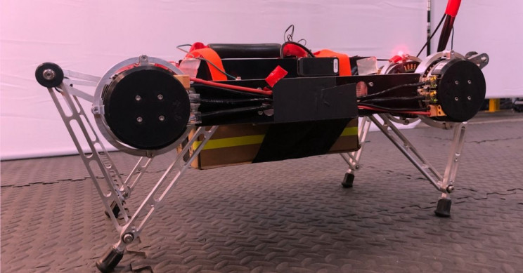 This Robot Used AI to Teach Itself to Walk