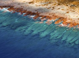 Scientists Produce First-ever Global Coral Reef Atlas