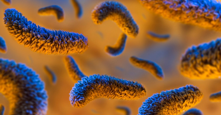 Bacteria Linked to Hospital Infections Showing Up in Raw Meat