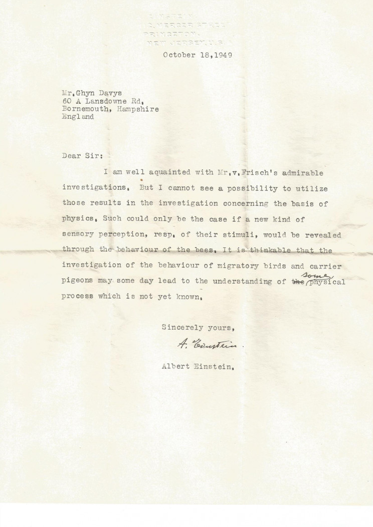Long-Lost Albert Einstein Letter Predicted Link Between Biology and Physics Long-Lost Albert Einstein Letter Predicted Link Between Biology and Physics