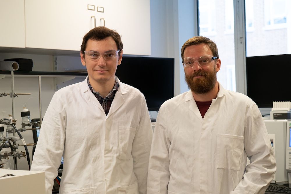 Scientists Create an Artificial Leaf That Creates Clean Gas, Could Replace Petrol Scientists Create an Artificial Leaf That Creates Clean Gas, Could Replace Petrol