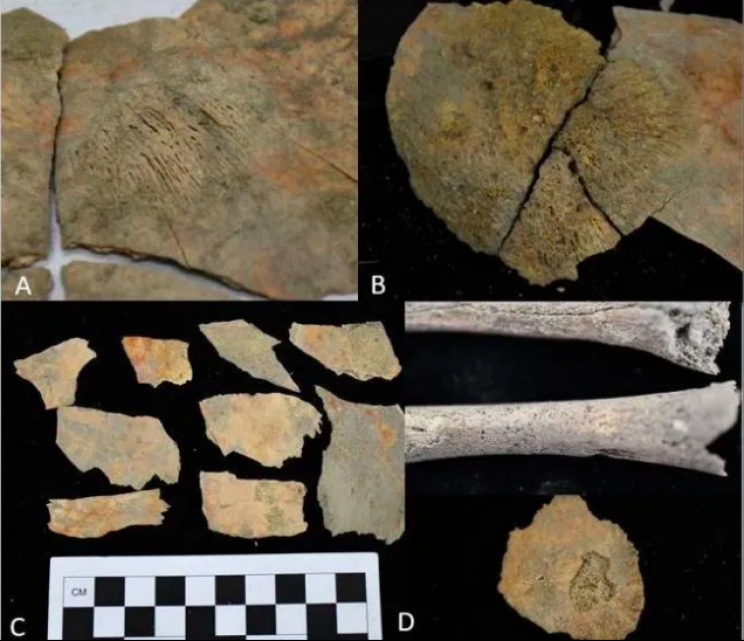 Infants Buried Wearing Helmets Made from Other Kids' Skulls Puzzle Archaeologists Infants Buried Wearing Helmets Made from Other Kids' Skulls Puzzle Archaeologists