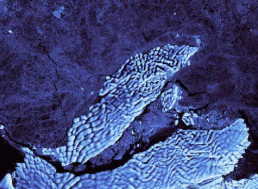 Boston-Sized Iceberg Breaks Off Ice Shelf in Antarctica