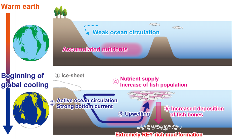 Fossilized Fish Could Be Indicators of Rare-Earth Metal Deposits Fossilized Fish Could Be Indicators of Rare-Earth Metal Deposits