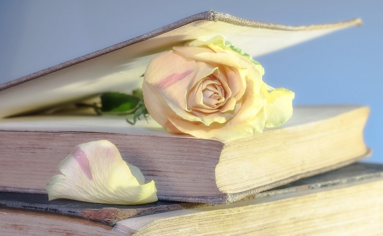 Ebook, Audio, Or Paper Book? What's Best, According to Science Ebook, Audio, Or Paper Book? What's Best, According to Science