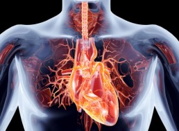 NASA Inventions Used for Heart Health