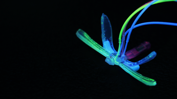 Robotic Dragonfly Changes Color When It Detects Environmental Disasters