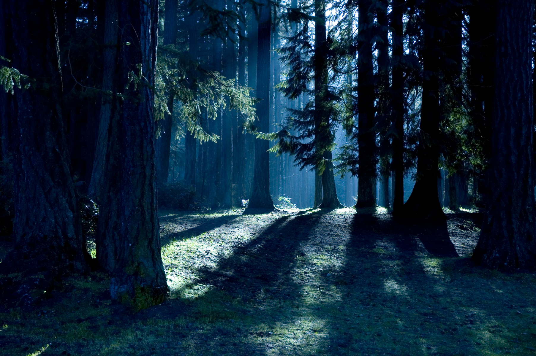 21 Facts About The Unresolved UFO Incident at Rendlesham Forest 21 Facts About The Unresolved UFO Incident at Rendlesham Forest