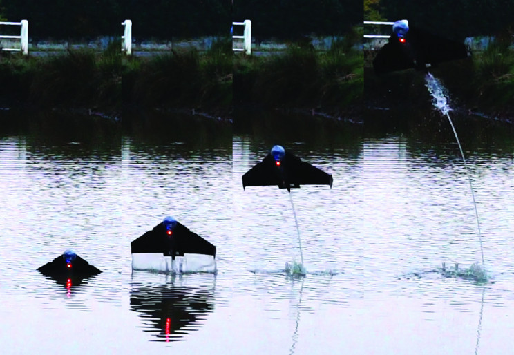 Scientists Created Manta Ray-like Robots that Jump and Glide out of the Water