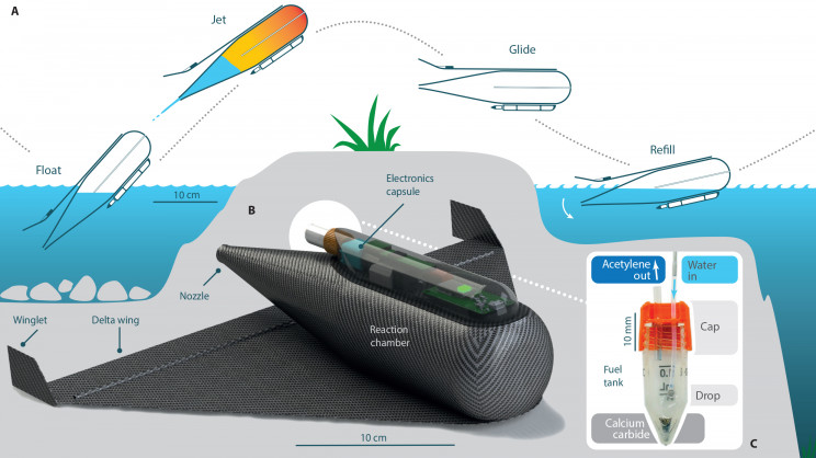 Scientists Created Manta Ray-like Robots that Jump and Glide out of the Water