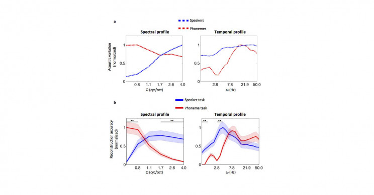 Researchers Look to the Brain for Algorithms for the Cocktail Party Problem