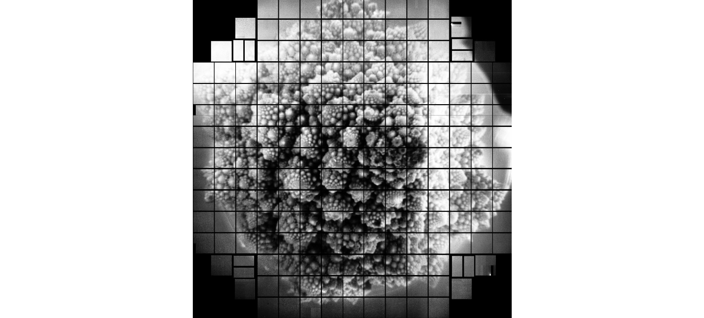 First 3,200 Megapixel Images Taken by World's Largest Digital Camera First 3,200 Megapixel Images Taken by World's Largest Digital Camera