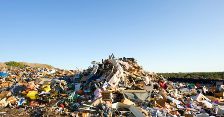Building a More Sustainable Future: Going Green with a Circular Supply Chain