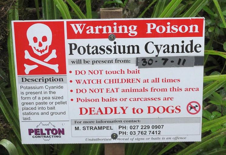 most dangerous chemicals potassium cyanide