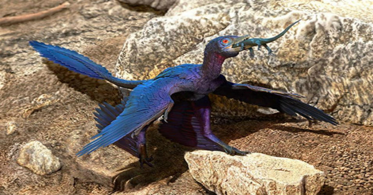 Fossil Inception: Fossil in a Fossil Unveils New Lizard Species Fossil Inception: Fossil in a Fossil Unveils New Lizard Species