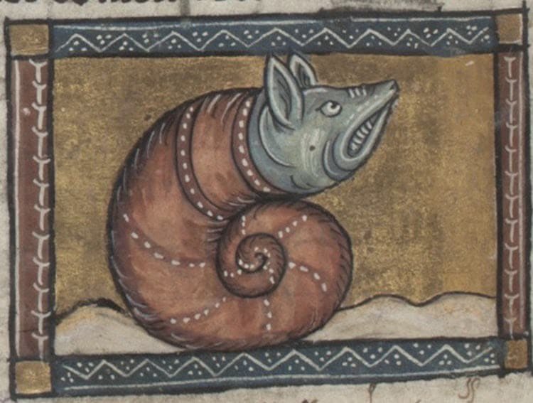 This Is How Medieval Artists Imagined Animals They Had Never Seen This Is How Medieval Artists Imagined Animals They Had Never Seen