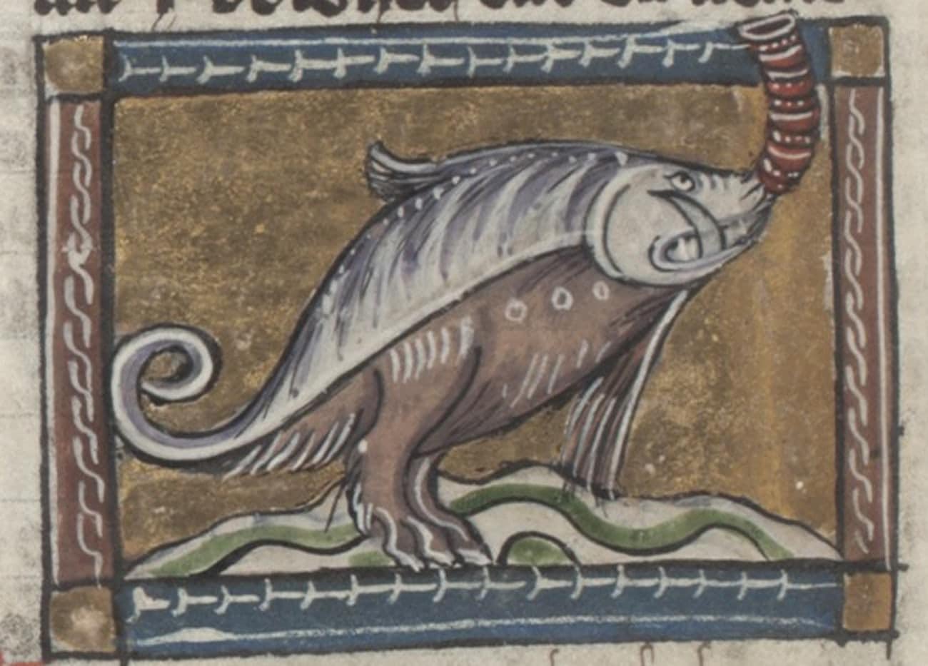 This Is How Medieval Artists Imagined Animals They Had Never Seen This Is How Medieval Artists Imagined Animals They Had Never Seen