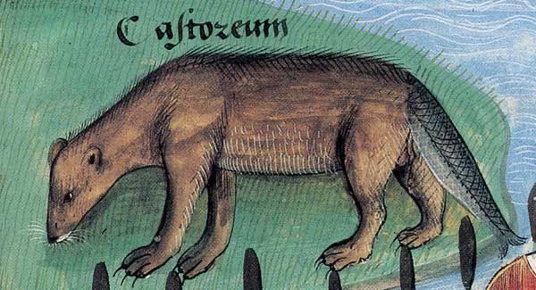 This Is How Medieval Artists Imagined Animals They Had Never Seen This Is How Medieval Artists Imagined Animals They Had Never Seen