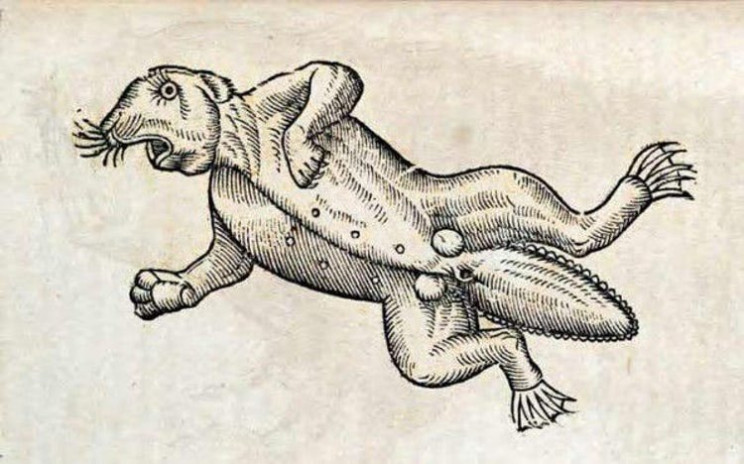 This Is How Medieval Artists Imagined Animals They Had Never Seen This Is How Medieval Artists Imagined Animals They Had Never Seen
