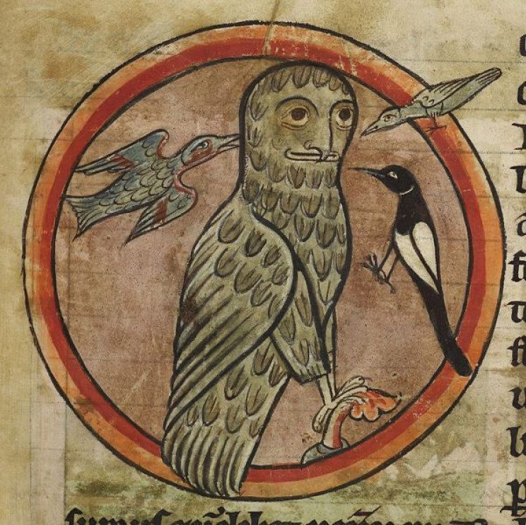 This Is How Medieval Artists Imagined Animals They Had Never Seen This Is How Medieval Artists Imagined Animals They Had Never Seen