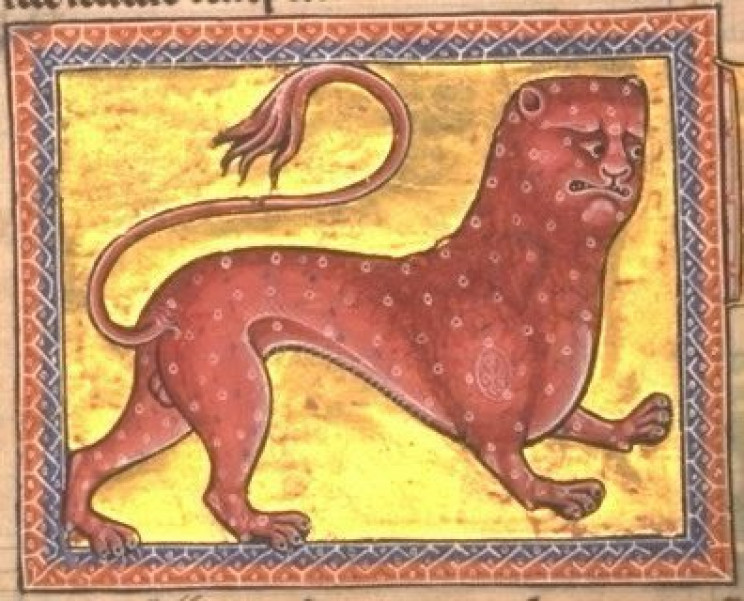 This Is How Medieval Artists Imagined Animals They Had Never Seen This Is How Medieval Artists Imagined Animals They Had Never Seen