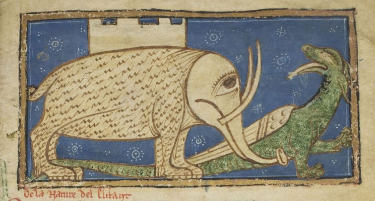 This Is How Medieval Artists Imagined Animals They Had Never Seen This Is How Medieval Artists Imagined Animals They Had Never Seen