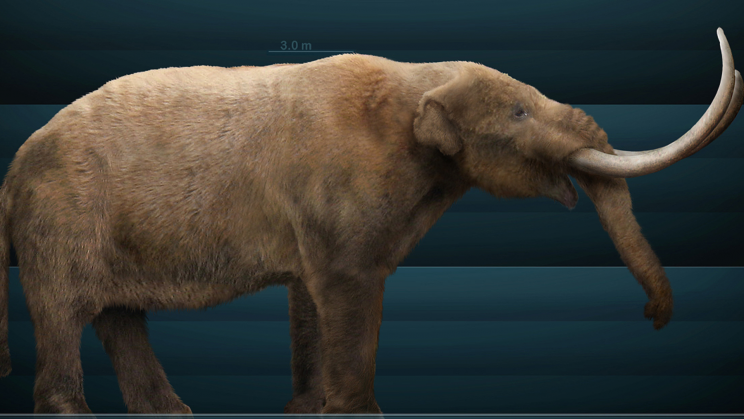 Scientists uncover the migration of a mastodon that died 13,200 years ago