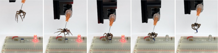 Necrobiotics: Researchers are turning dead spiders' legs into robotic grippers Necrobiotics: Researchers are turning dead spiders' legs into robotic grippers