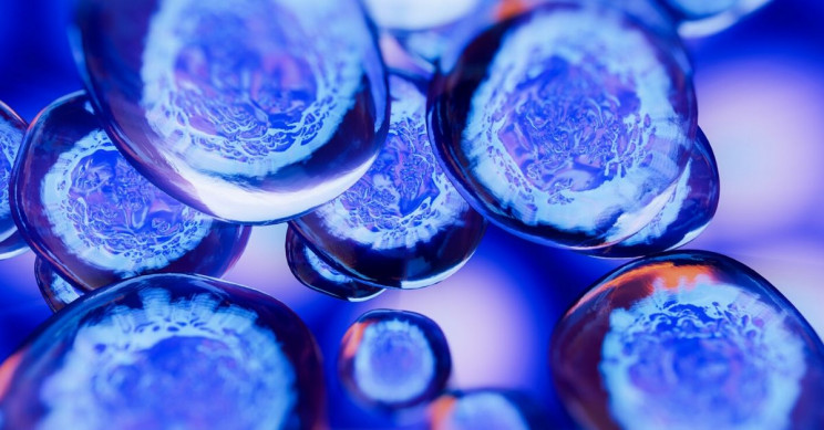 Scientists Reprogram Cells of 114-Year-Old Woman as If They Were as Good as New