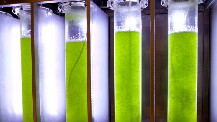 Solar Powered Bioreactors Could Make Food Cheap and Sustainable