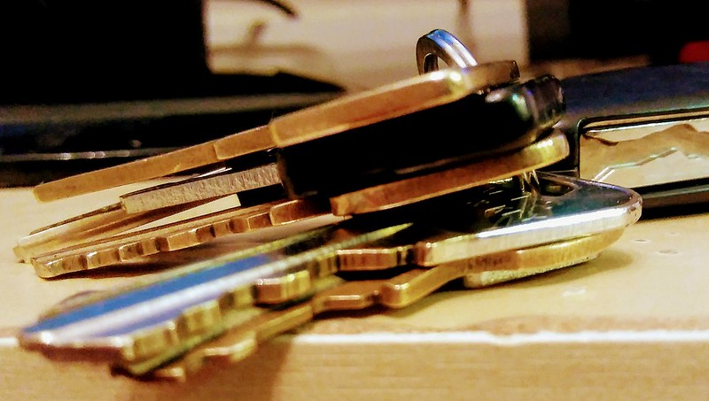 tesla owners live in future keys