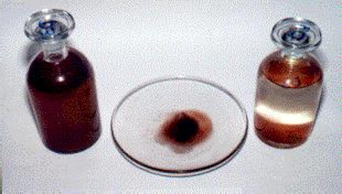 Blood rain sample