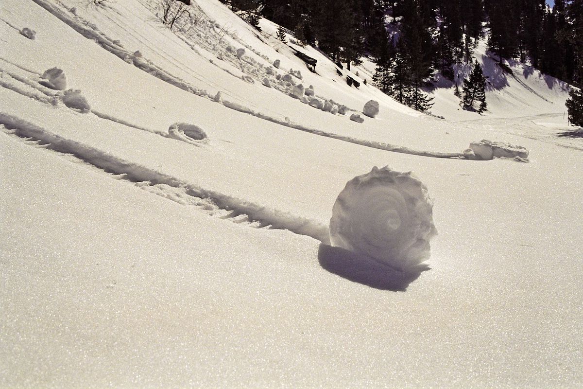 snow donut