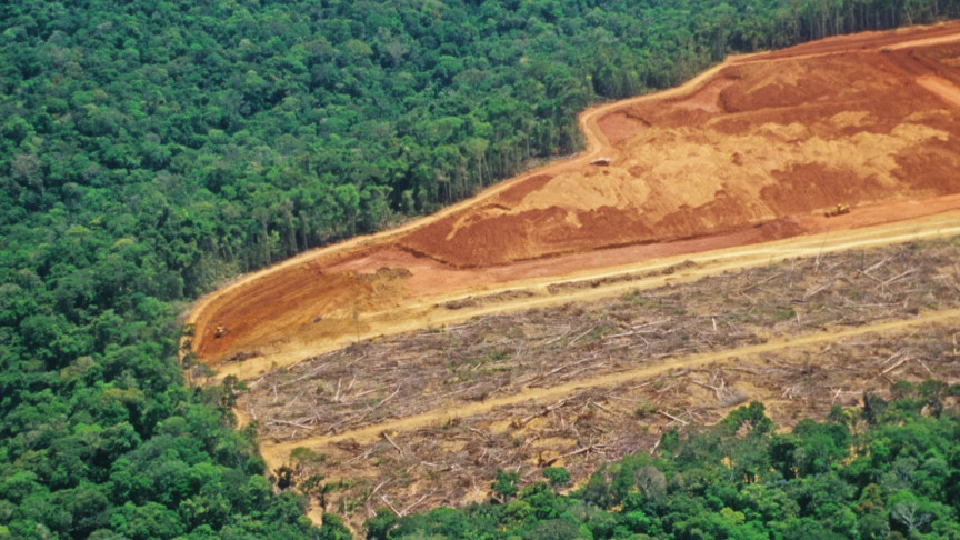 SUSTAINABILITY - cover