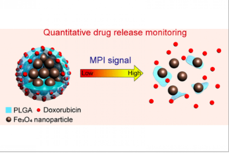 Chemotherapy Improved Through New Nanotechnology Chemotherapy Improved Through New Nanotechnology