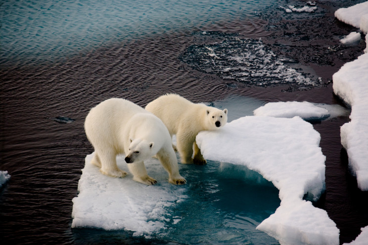 sustainability and environmental engineering