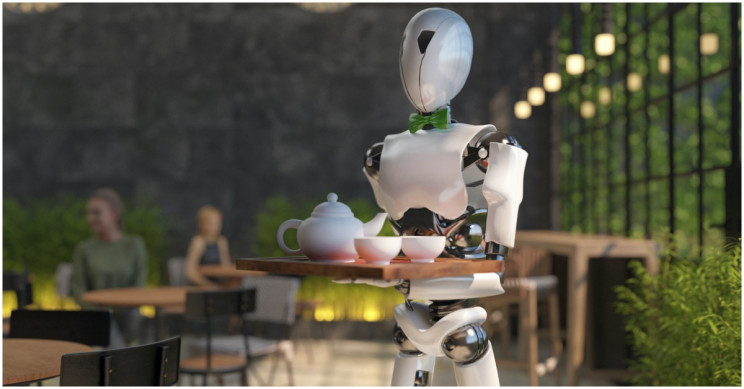 Human Attitudes toward the Robot in the Room