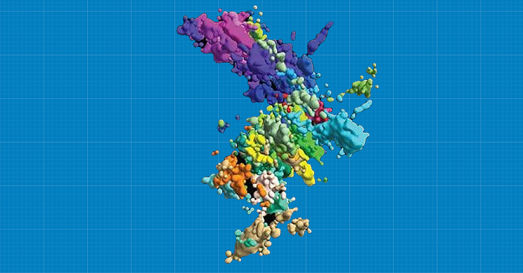 Forget High School Biology, Chromosomes Don’t Look like You Think They Do