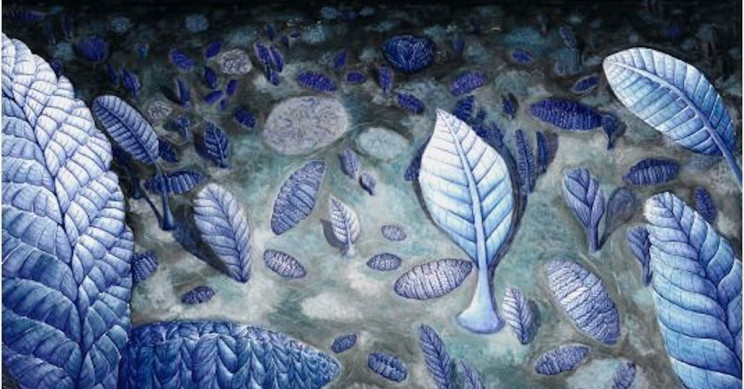 500-Million-Year-Old Sea Animals May Have Used "Social Networks" to Clone Themselves 500-Million-Year-Old Sea Animals May Have Used "Social Networks" to Clone Themselves