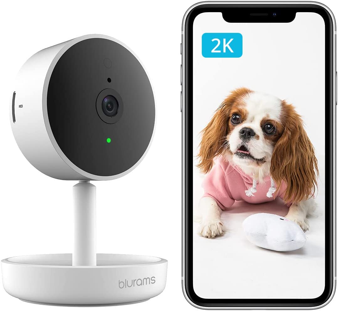 7 coolest AI-based gadgets that will help you live your life to the fullest 7 coolest AI-based gadgets that will help you live your life to the fullest