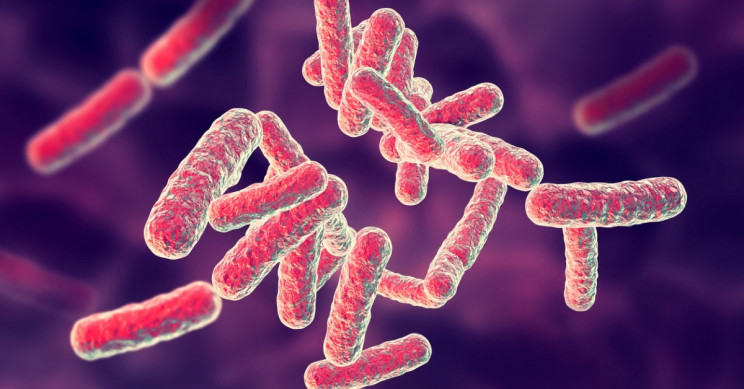 Researchers Devise New Way To Kill Bacteria Blamed For Many Hospital Infections