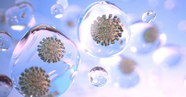 新研究发现两种单细胞生物可吃掉病毒 1 新研究发现两种单细胞生物可吃掉病毒