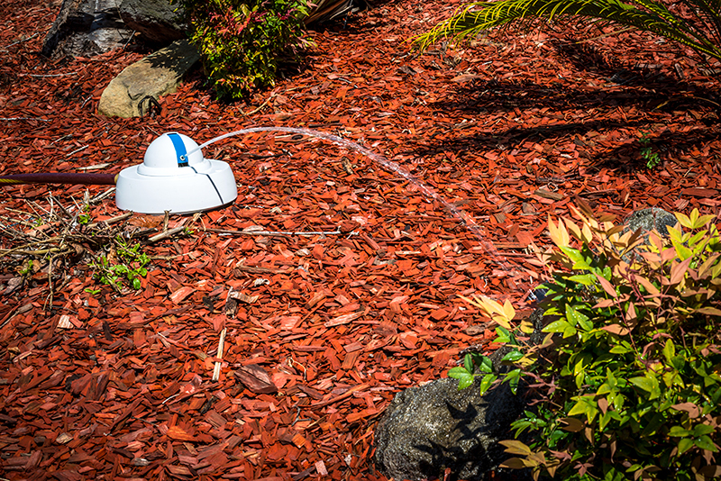7 Solutions and Tools to Prevent Droughts and Minimize Their Risks 7 Solutions and Tools to Prevent Droughts and Minimize Their Risks