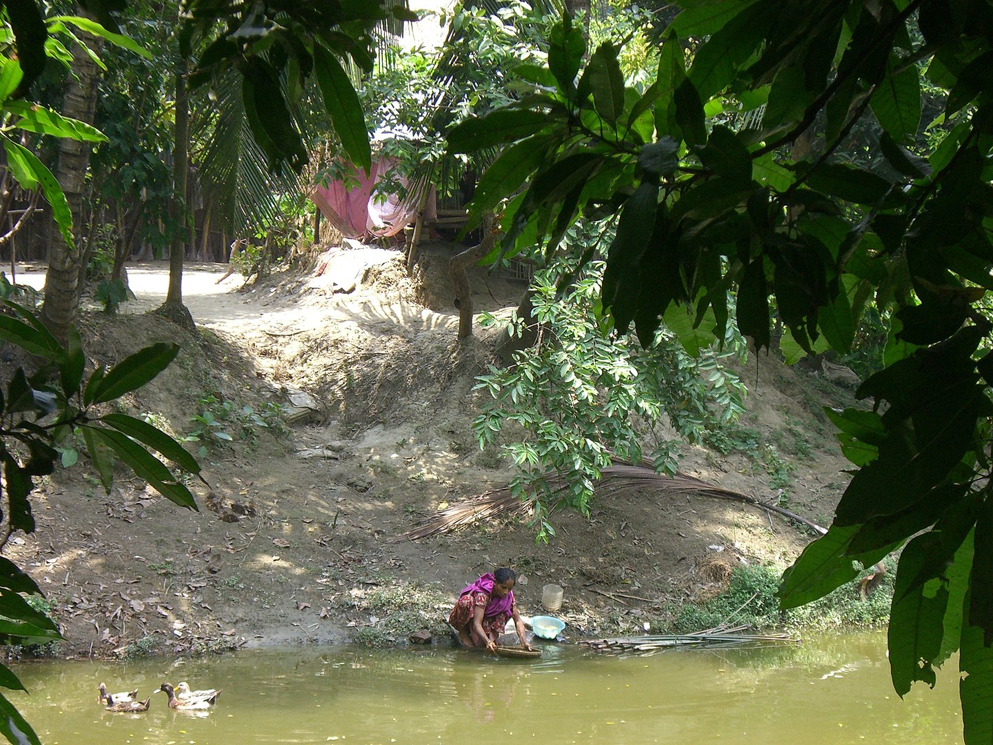 woman getting water from polluted river