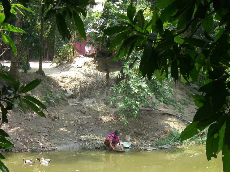 woman getting water from polluted river