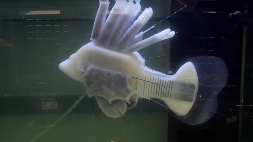 Robotic Fish Is Now Powered by 'Robot-Blood' for Greater Autonomy