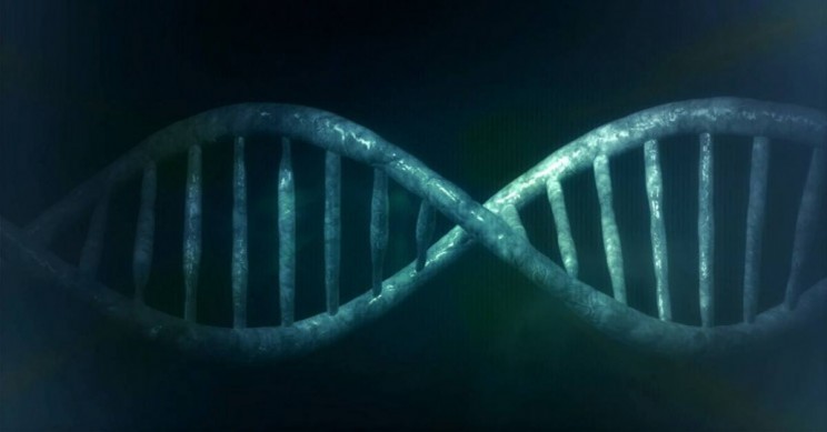 A Team of Researchers Has Developed Self-healing DNA Nanostructures