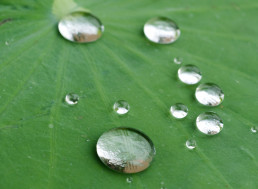 Nano-Coatings for Home and Industrial Use